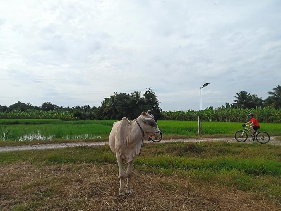 Phnom Penh Cycling To Angkor 2 Days